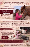 Assistante Maternelle